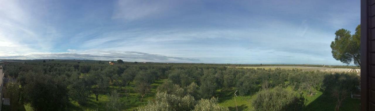 Вилла Farm Agriturismo Masseria Chiusurella Корато Экстерьер фото